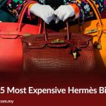 The Top 5 Most Expensive Hermès Birkin Bags