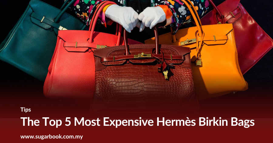 The Top 5 Most Expensive Hermès Birkin Bags